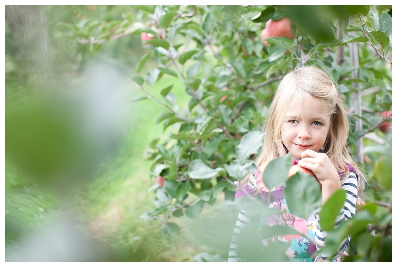 apple picking_973