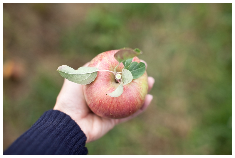 apple picking_980